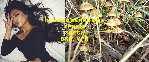 MESCALINE Инта