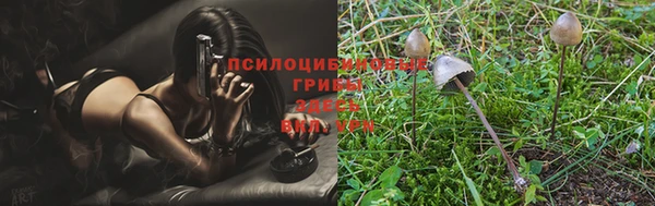 MESCALINE Инта