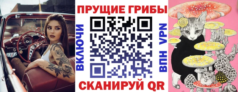 Псилоцибиновые грибы GOLDEN TEACHER  Купить закладки  Арамиль 
